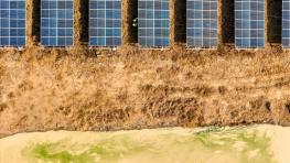 Soft to medium-firm grounds